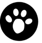 Shiba Inu