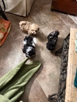 Shih-Poo