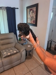 Mini Sheepadoodle
